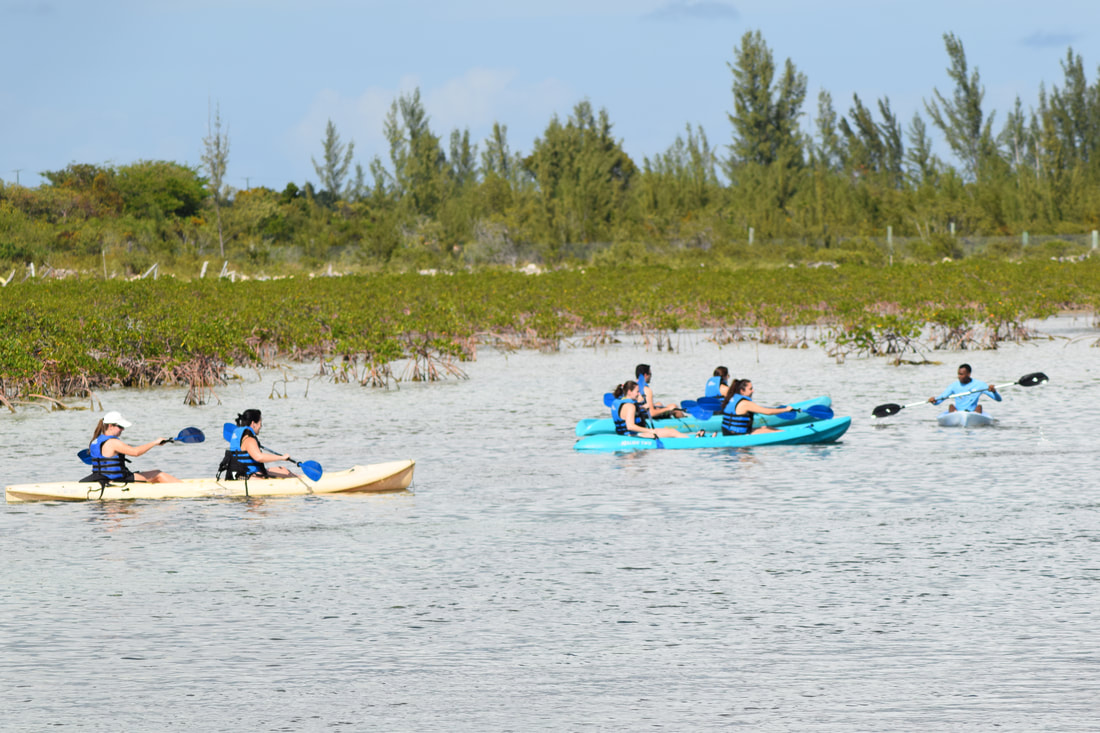 Nassau Eco-Tours Bahamas 